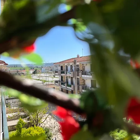 Διαμέρισμα Seaside Aliki *